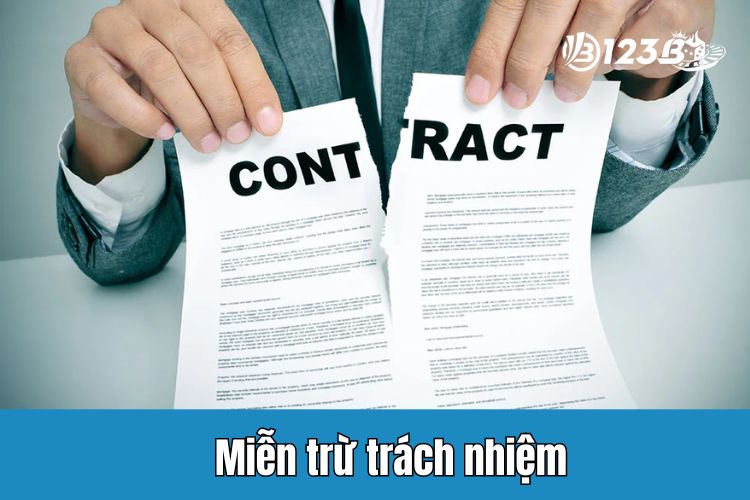 Tính hợp pháp và miễn trừ trách nhiệm